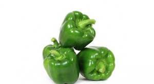 برای مشاهده تصویر بزرگتر کلیک کنید