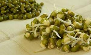 برای مشاهده تصویر بزرگتر کلیک کنید