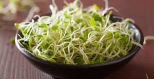 برای مشاهده تصویر بزرگتر کلیک کنید