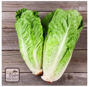 برای مشاهده تصویر بزرگتر کلیک کنید