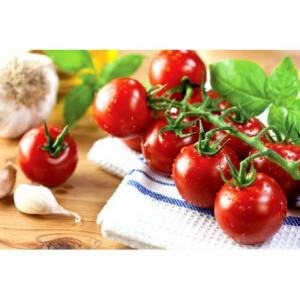 برای مشاهده تصویر بزرگتر کلیک کنید