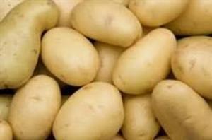 برای مشاهده تصویر بزرگتر کلیک کنید