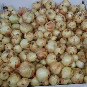 برای مشاهده تصویر بزرگتر کلیک کنید