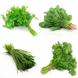 برای مشاهده تصویر بزرگتر کلیک کنید