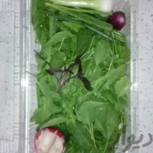 برای مشاهده تصویر بزرگتر کلیک کنید