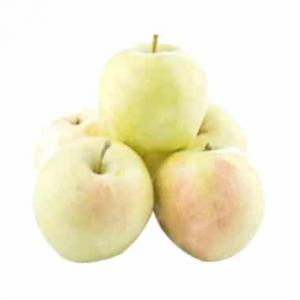 برای مشاهده تصویر بزرگتر کلیک کنید