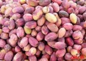 برای مشاهده تصویر بزرگتر کلیک کنید