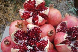 برای مشاهده تصویر بزرگتر کلیک کنید