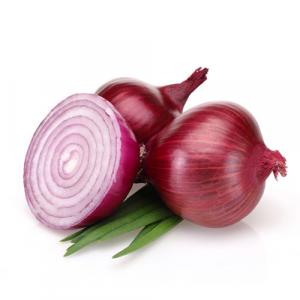 برای مشاهده تصویر بزرگتر کلیک کنید