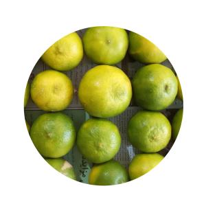 برای مشاهده تصویر بزرگتر کلیک کنید