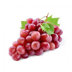 برای مشاهده تصویر بزرگتر کلیک کنید