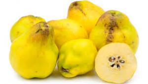 برای مشاهده تصویر بزرگتر کلیک کنید