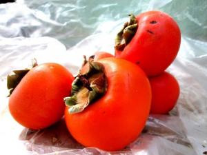 برای مشاهده تصویر بزرگتر کلیک کنید