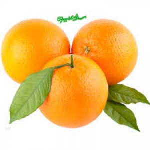 برای مشاهده تصویر بزرگتر کلیک کنید