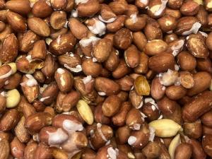 برای مشاهده تصویر بزرگتر کلیک کنید