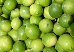 برای مشاهده تصویر بزرگتر کلیک کنید