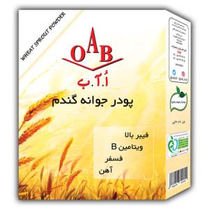 برای مشاهده تصویر بزرگتر کلیک کنید