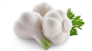 برای مشاهده تصویر بزرگتر کلیک کنید