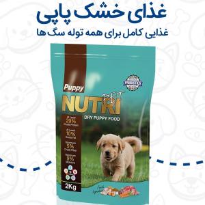 برای مشاهده تصویر بزرگتر کلیک کنید