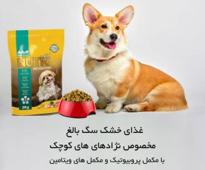 برای مشاهده تصویر بزرگتر کلیک کنید