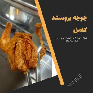 برای مشاهده تصویر بزرگتر کلیک کنید