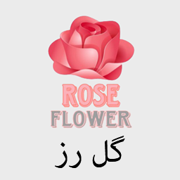 گل رز