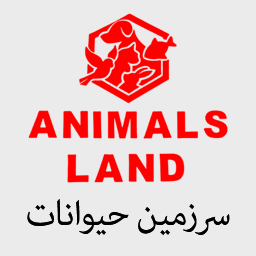 سرزمین حیوانات